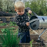 Praktische (Spar-) Tipps für einen blühenden Garten und Balkon